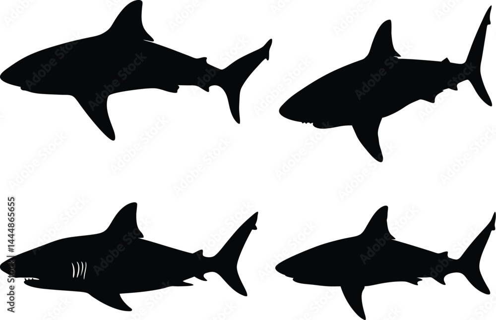 Obraz premium Black and White Shark Silhouettes in Minimalist Marine Wildlife Illustration Style with Side View Designs, Bold Contrast, and Sleek Vector Outlines of Oceanic Predators