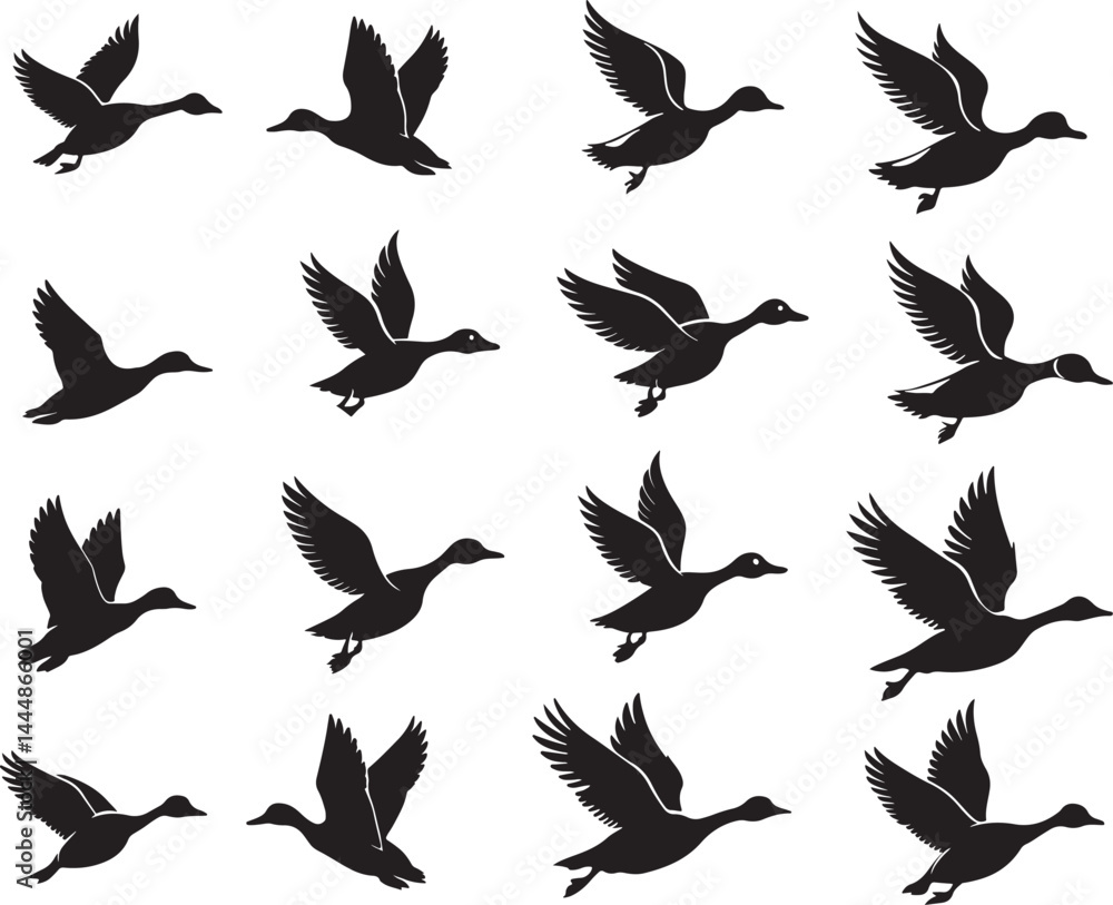 Obraz premium Silhouette Ducks in Flight Vector | Black and White Minimalist Wildlife Design