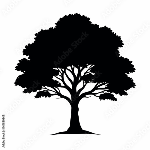 Tree Silhouette Vector on White Background