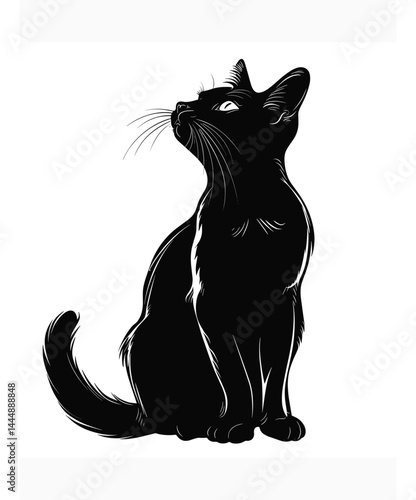 Black cat is sitting on a white background. The cat is looking up at the camera with its eyes wide open. The image has a mysterious and curious mood