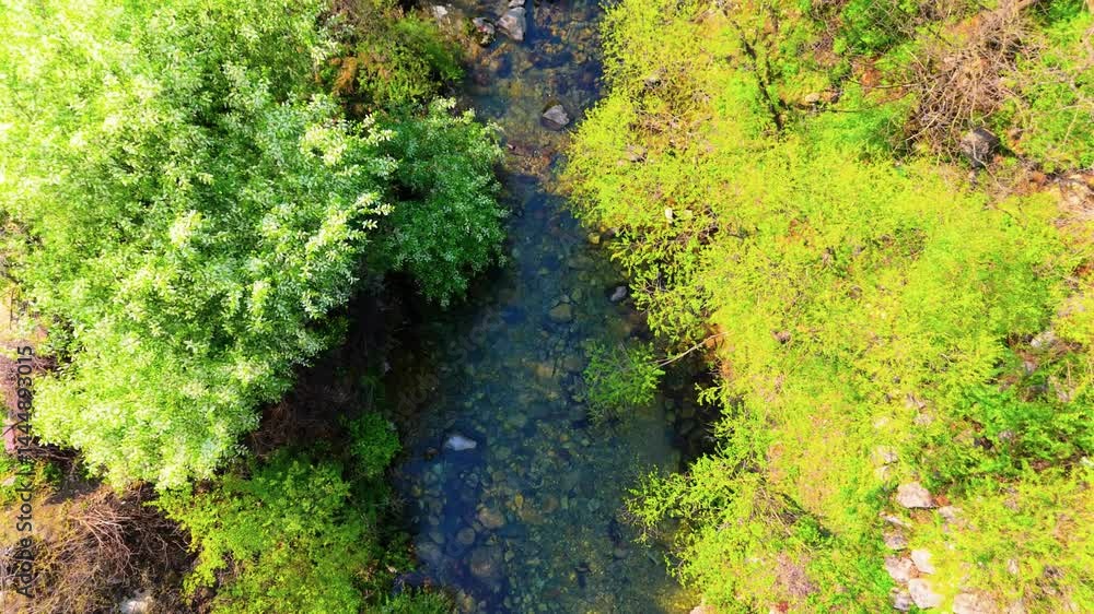 A view of a valley in early summer colored with green light. A beautiful natural view of Sillim, Gangwon Province, Korea's attraction, taken with a drone in the sky. A trip to Gangwon Province A view of a valley in early summer colored with green light. A beautiful natural view of Sillim, Gangwon Province, Korea's attraction, taken with a drone in the sky. A trip to Gangwon Province