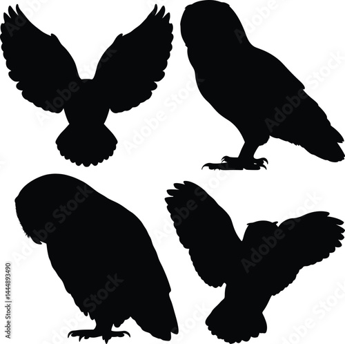Black and White Owl Silhouettes with Spread Wings and Perched Poses in Minimalist Vector Style – Stylized Nocturnal Bird of Prey Graphic Illustration with Monochrome Contrast