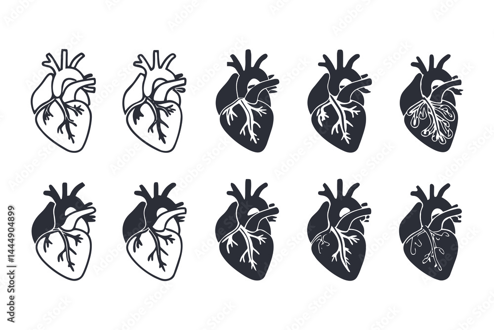 Fototapeta premium Anatomical Heart Vector Silhouette Icon Set. Human Heart, Cardiovascular System, Heartbeat, Medical Anatomy, Health, Biology, Organ, and Cardiology Illustrations