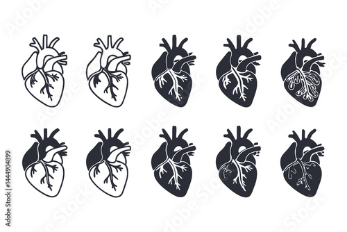 Anatomical Heart Vector Silhouette Icon Set. Human Heart, Cardiovascular System, Heartbeat, Medical Anatomy, Health, Biology, Organ, and Cardiology Illustrations