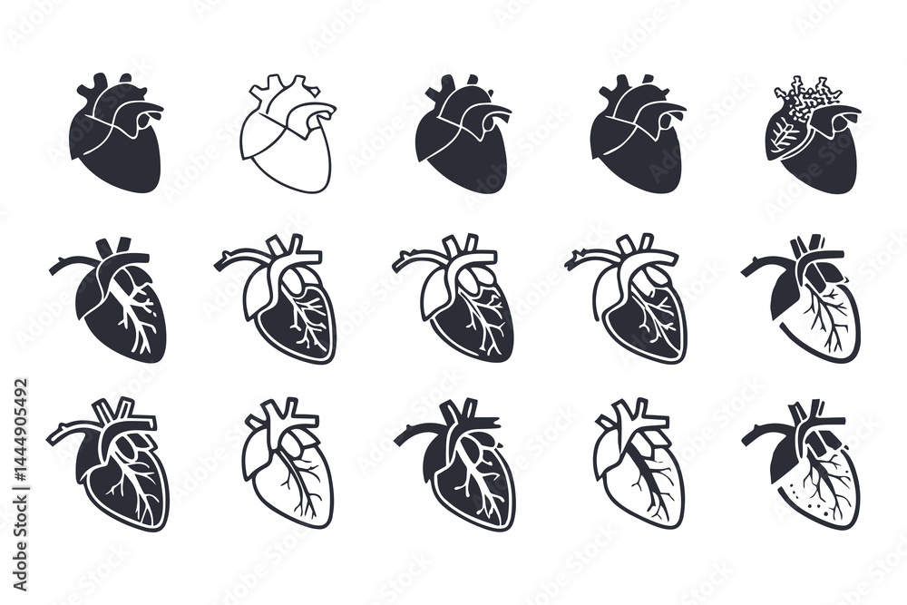 Fototapeta premium Anatomical Heart Vector Silhouette Icon Set. Human Heart, Cardiovascular System, Heartbeat, Medical Anatomy, Health, Biology, Organ, and Cardiology Illustrations