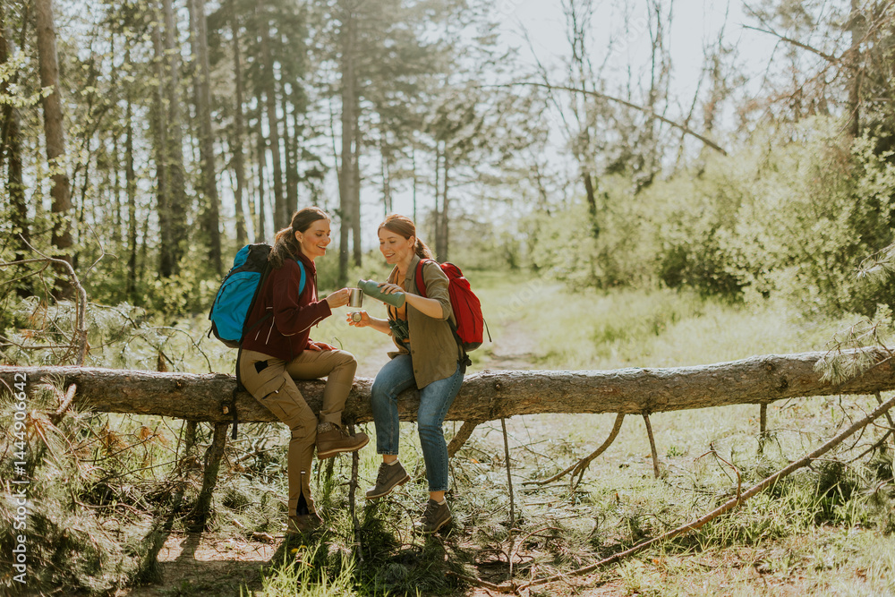 Two friends sharing a moment sitting on a fallen log in a sunlit forest during a spring hike