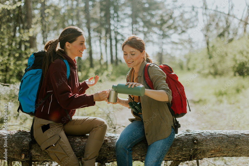Two friends enjoy warm drinks during a peaceful hike through a sunlit forest on a crisp autumn day in the mountains