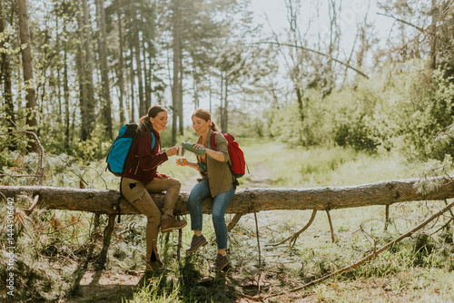 Obraz na płótnie Two friends sharing a moment sitting on a fallen log in a sunlit forest during a spring hike w salonie
