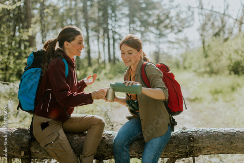 Obraz na płótnie Two friends enjoy warm drinks during a peaceful hike through a sunlit forest on a crisp autumn day in the mountains w salonie