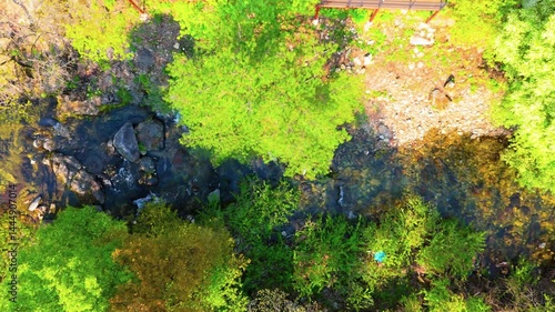 Wallpaper Mural A view of a valley in early summer colored with green light. A beautiful natural view of Sillim, Gangwon Province, Korea's attraction, taken with a drone in the sky. A trip to Gangwon Province Torontodigital.ca