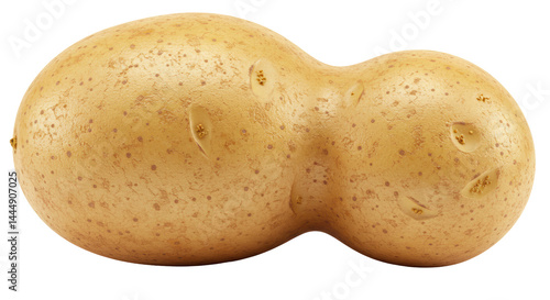 Isolated Ugly Double Potato