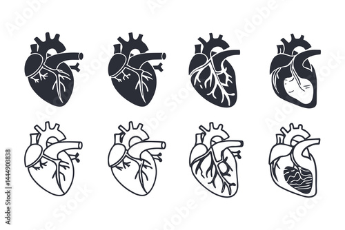 Anatomical Heart Vector Silhouette Icon Set. Human Heart, Cardiovascular System, Heartbeat, Medical Anatomy, Health, Biology, Organ, and Cardiology Illustrations