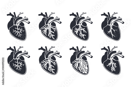 Anatomical Heart Vector Silhouette Icon Set. Human Heart, Cardiovascular System, Heartbeat, Medical Anatomy, Health, Biology, Organ, and Cardiology Illustrations