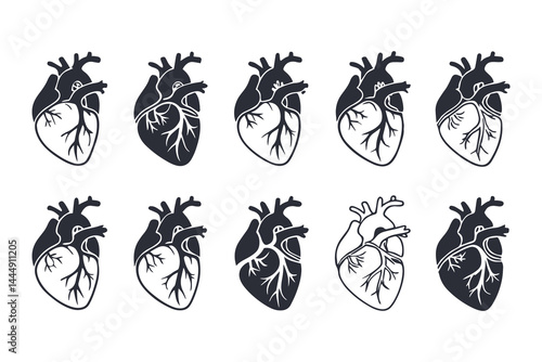Anatomical Heart Vector Silhouette Icon Set. Human Heart, Cardiovascular System, Heartbeat, Medical Anatomy, Health, Biology, Organ, and Cardiology Illustrations
