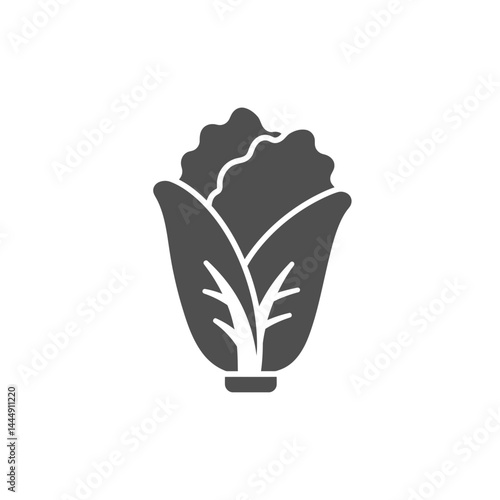 Simple Cabbage Icon: A clean, stylized icon of a crisp cabbage, showcasing its freshness and natural form in an eye-catching design.