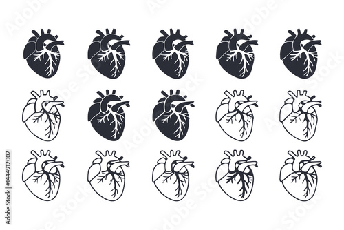 Anatomical Heart Vector Silhouette Icon Set. Human Heart, Cardiovascular System, Heartbeat, Medical Anatomy, Health, Biology, Organ, and Cardiology Illustrations