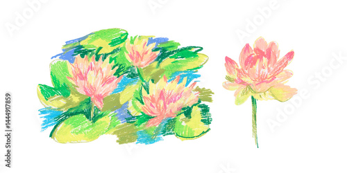 Spring clip art of water lily flowers drawn with wax crayons on white isolated background. Children's botanical collection of oil pastel illustrations. Designs for greeting cards, stickers,  posters.