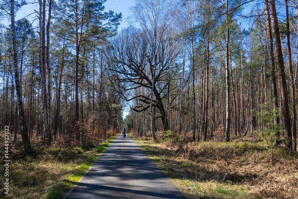 Radweg