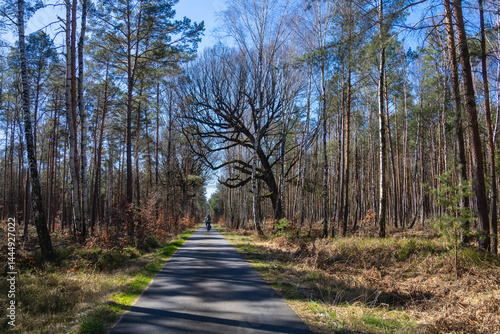 Obraz na płótnie Radweg w salonie