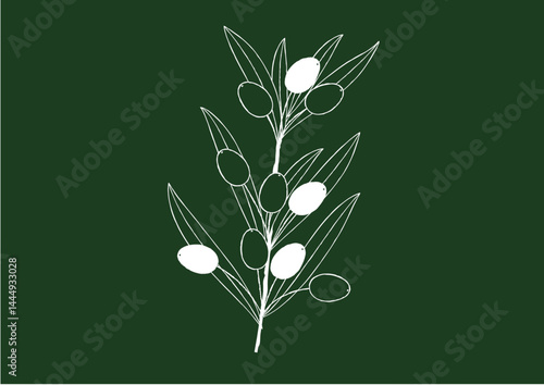 黒板に手描きしたオリーブのナチュラルな線画　一枝のオリーブ