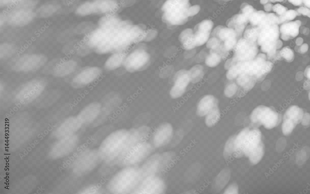Abstract shadow overlay from foliage on a transparent background.