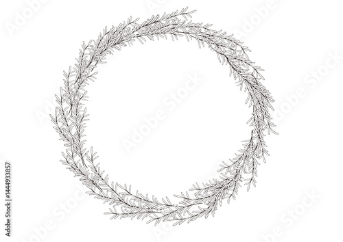 ナチュラルなローズマリーのリーズ　手描き風の線画