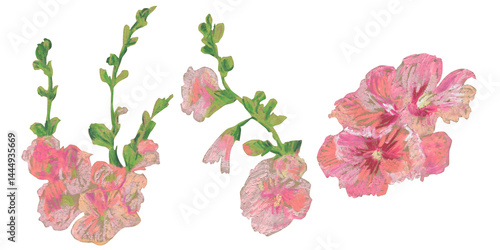 Spring clip art of Rose of Sharon flowers drawn with wax crayons on white isolated background. Children's botanical collection of oil pastel illustrations. Designs for greeting cards,posters.