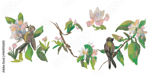 Spring clip art of sakura flowers drawn with wax crayons on white isolated background. Children's botanical collection of oil pastel illustrations. Designs for greeting cards, stickers, posters.