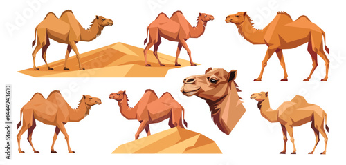 Collection of Six Camels in Desert Landscape Illustrations