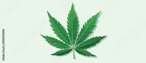 Single Cannabis Leaf with Water Droplet Illustration