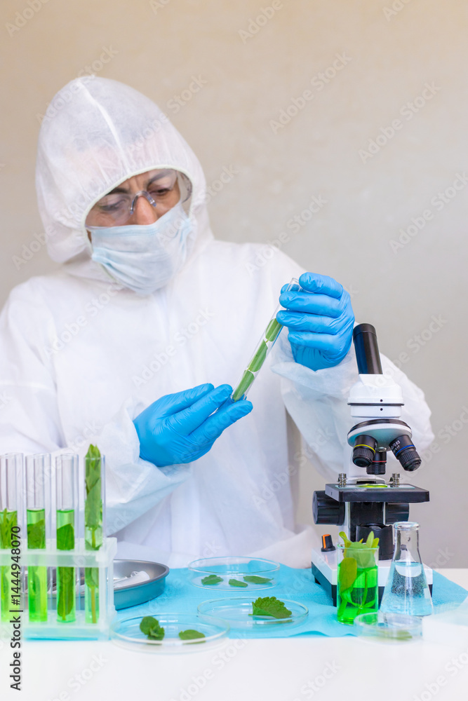Research of plants in the laboratory. Selective focus. Research of plants in the laboratory. Selective focus.