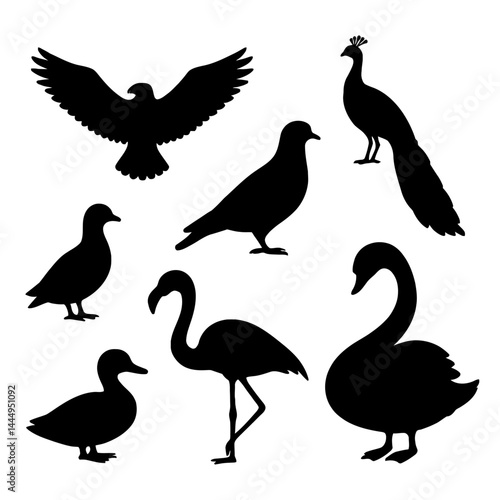 Black and White Bird Silhouettes Collection - Eagle, Peacock, Flamingo, Swan, Ducks, Pigeon Illustration for Nature & Wildlife
