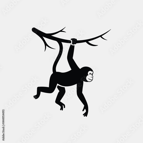 Silhouette of Monkey Hanging from Tree Branch