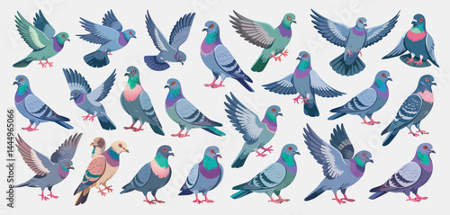 Collection of Colorful Pigeons in Various Poses
