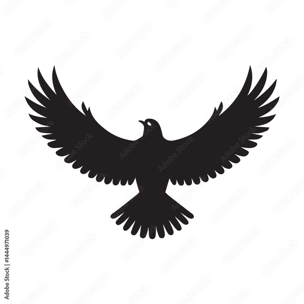 Fototapeta premium eagle in the sky