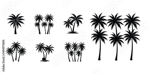 Set of palm tree line art silhouettes   vector palm, tree, vector, line, art, silhouette, drawing, clipart, icons, illustrations, graphics, outline, design background & on white 