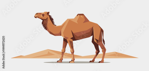 Single Dromedary Camel in Desert Landscape Illustration