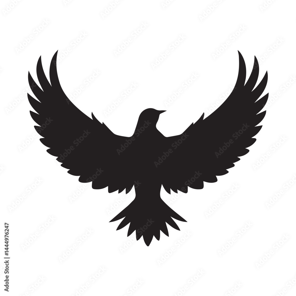 Fototapeta premium eagle in flight