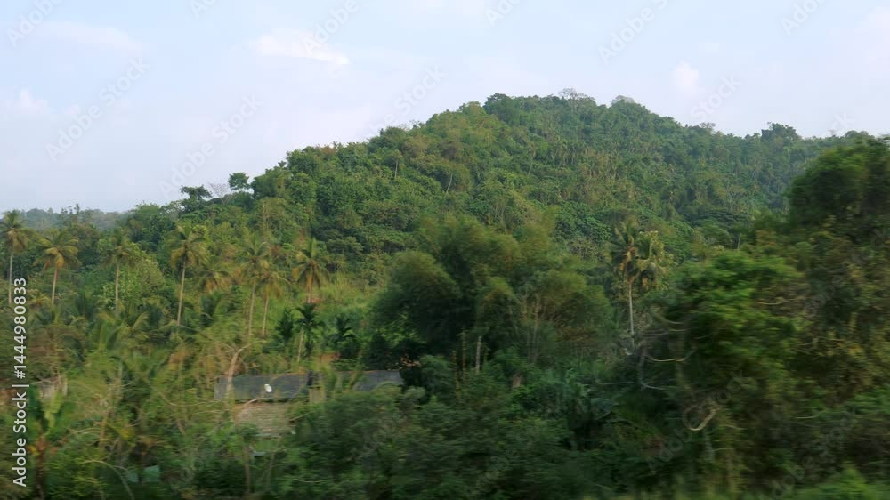 Green vegetation covers the hills and plains, creating a vibrant tapestry of nature beauty. View from driving vehicle window movement through this tropical paradise Green vegetation covers the hills and plains, creating a vibrant tapestry of nature beauty. View from driving vehicle window movement through this tropical paradise