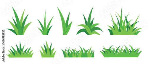 Collection of Green Grass Illustrations for Design