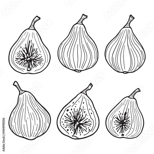 minimalist fig line art vector illustration for design