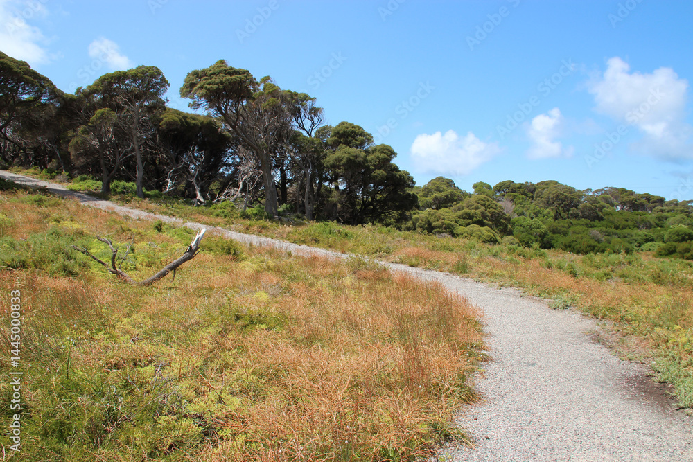 countryside at rottnest island in australia