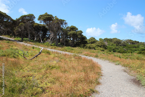 Obraz na płótnie countryside at rottnest island in australia w salonie