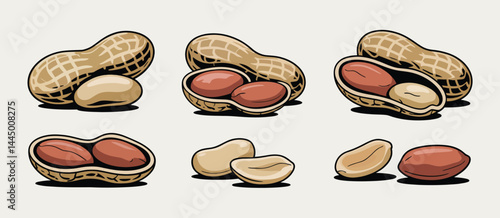 Collection of Peanuts in Shells and Shelled Peanuts