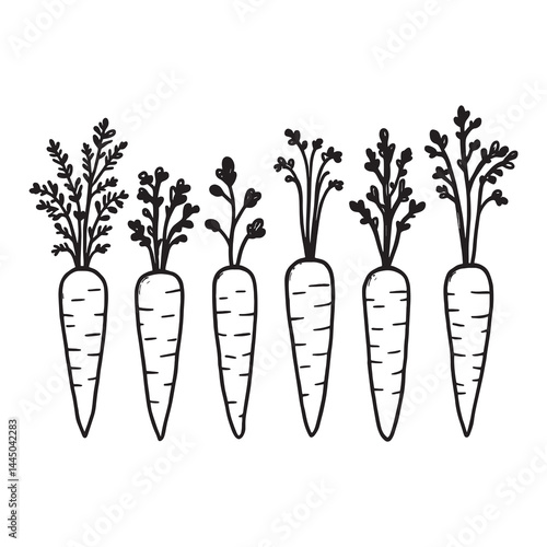 Minimalistic line art design of fresh baby carrots