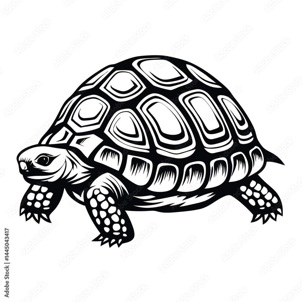 Fototapeta premium Turtle Detailed Black and White Outlined Reptile Wildlife Silhouette Art Design
