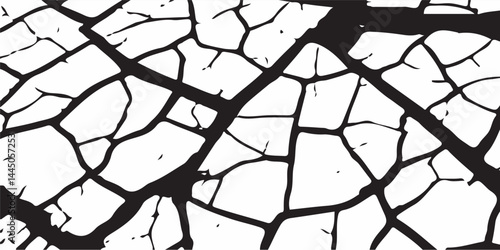 White Surface Texture In Pieces
Grey plaster facade house wall with dark cracks
White black grey concrete wall, floor with cracks, texture background, cracked paint