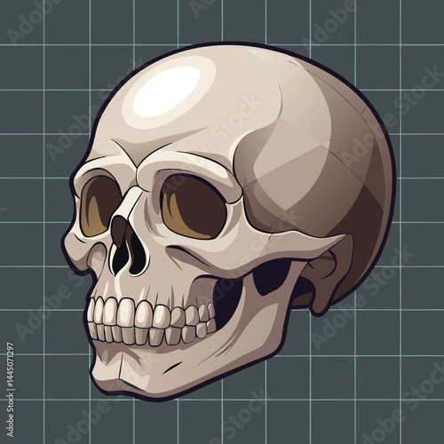 A detailed, three-quarter view of a human skull against a gray grid background.