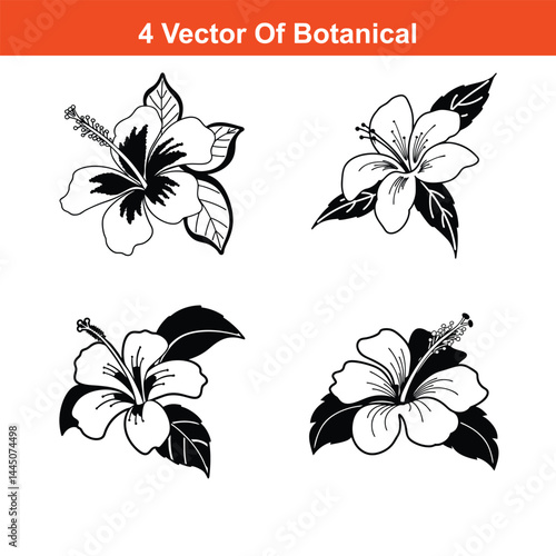 Hibscus Flower Continuous Line Drawing with Editable Stroke,Black and white hibiscus flowers, branch, leaf