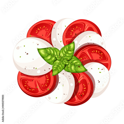 Caprese salad. Tomatoes, mozzarella cheese, basil. Top view. Vector illustration isolated on white background.